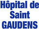 logo C.H. St Gaudens